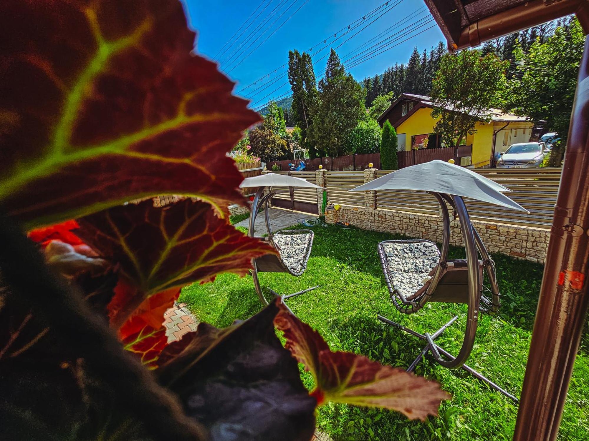 Alpine Bliss Sinaia Hotel Bagian luar foto